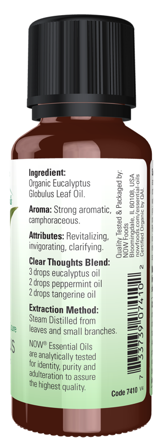 Eucalyptus Globulus Oil, Organic - Image 2