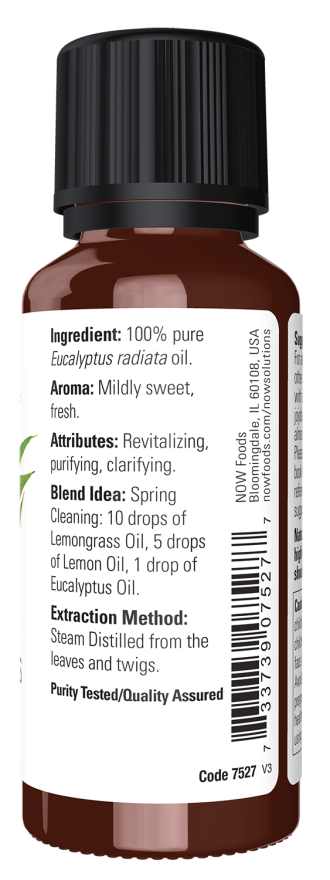 Eucalyptus Radiata Oil - Image 2